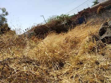 Terreno en renta y venta en la entrada deOaxtepec