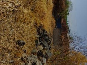 Terreno en renta y venta en la entrada deOaxtepec