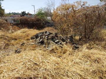 Terreno en renta y venta en la entrada deOaxtepec