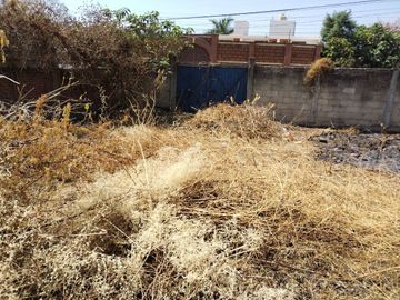 Terreno en renta y venta en la entrada deOaxtepec