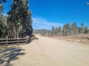 PARCELAS CON CREDITO DIRECTO EN VICHUQUEN