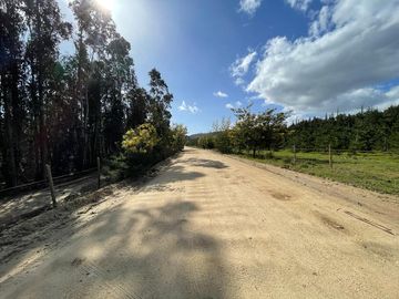 LIQUIDAMOS PARCELAS CON CREDITO DIRECTO EN VICHUQUEN
