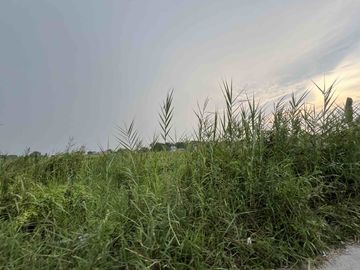 FOR SALE Vacant Lot in Brgy Del Pilar, San Fernando, Pampanga