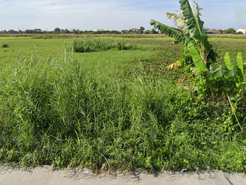 FOR SALE Vacant Lot in Brgy Del Pilar, San Fernando, Pampanga
