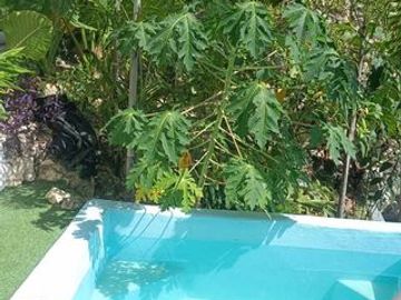 For Sale: Beachfront House and Lot in Puente, Carmen, Cebu