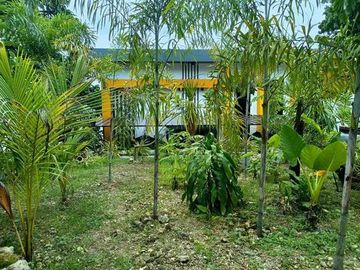 For Sale: Beachfront House and Lot in Puente, Carmen, Cebu