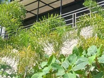 For Sale: Beachfront House and Lot in Puente, Carmen, Cebu