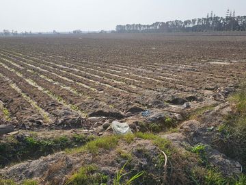 SE VENDE TERRENO EN ALTO LARAN, CHINCHA ALTA