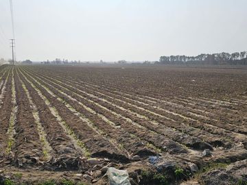 SE VENDE TERRENO EN ALTO LARAN, CHINCHA ALTA