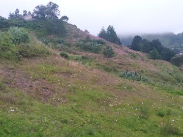 VENTA DE TERRENO EN OMITLÁN DE JUÁREZ