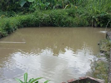 hermosa finca en Anapoima