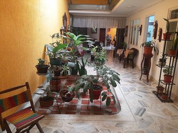 VERSALLES CASA COMERCIAL VENTA PALMIRA