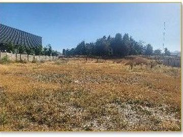Venta Terreno Inofensivo Molesto Pudahuel / TI-48-24