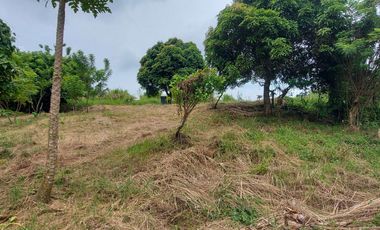 Prime Lot for Sale in Tolentino West, Tagaytay – Stunning Overlooking Views