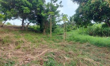 Prime Lot for Sale in Tolentino West, Tagaytay – Stunning Overlooking Views