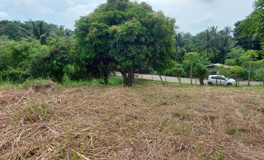Prime Lot for Sale in Tolentino West, Tagaytay – Stunning Overlooking Views