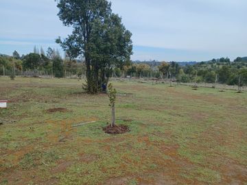 2023/310   HERMOSAS PARCELA SECTOR LIBUENO PELARCO