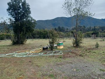 2023/310   HERMOSAS PARCELA SECTOR LIBUENO PELARCO
