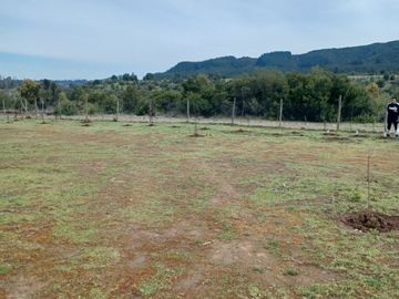 2023/310   HERMOSAS PARCELA SECTOR LIBUENO PELARCO