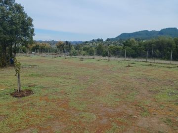 2023/310   HERMOSAS PARCELA SECTOR LIBUENO PELARCO