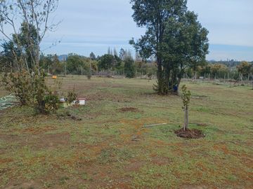 2023/310   HERMOSAS PARCELA SECTOR LIBUENO PELARCO