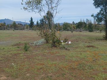 2023/310   HERMOSAS PARCELA SECTOR LIBUENO PELARCO