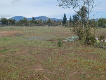2023/310   HERMOSAS PARCELA SECTOR LIBUENO PELARCO