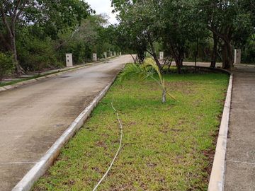 Lote 14 XAMAN HA 185 m2