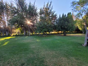 VENTA DE PARCELA CON CASA EN PEÑAFLOR