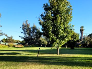 VENTA DE PARCELA CON CASA EN PEÑAFLOR