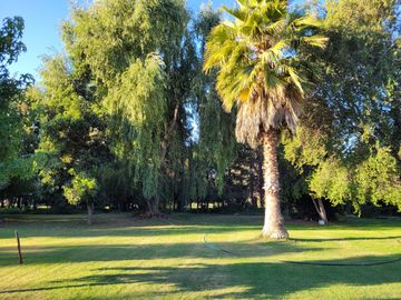 VENTA DE PARCELA CON CASA EN PEÑAFLOR