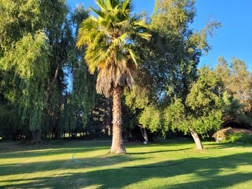VENTA DE PARCELA CON CASA EN PEÑAFLOR