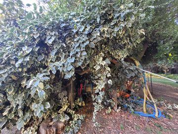 VENTA DE PARCELA CON CASA EN PEÑAFLOR