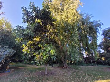 VENTA DE PARCELA CON CASA EN PEÑAFLOR