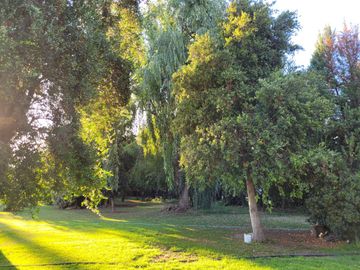 VENTA DE PARCELA CON CASA EN PEÑAFLOR