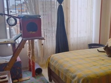 Amplio Apartamento La Granja