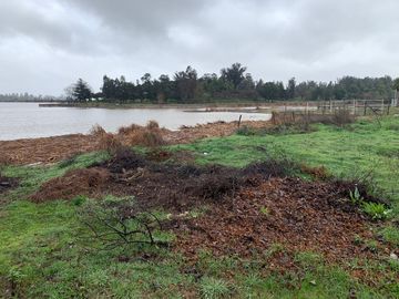 PARCELA CON CASA A ORILLA DE LAGO RAPEL