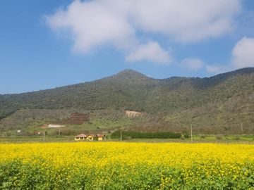 VENTA DE PARCELAS EN CONDOMINIO, SAN ANTONIO DE NALTAHUA, ISLA DE MAIPO, ROL PROPIO.