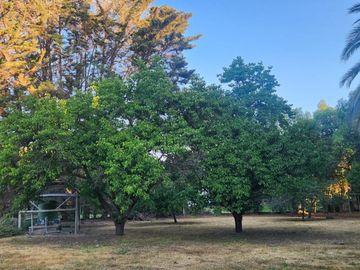 VENTA DE PARCELA EN CONDOMINIO, SECTOR CARAMPANGUE, ISLA DE MAIPO.