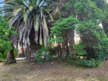 VENTA DE PARCELA EN CONDOMINIO, SECTOR CARAMPANGUE, ISLA DE MAIPO.