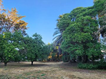 VENTA DE PARCELA EN CONDOMINIO, SECTOR CARAMPANGUE, ISLA DE MAIPO.