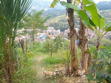 TE VENDO ESTE APARTAMENTO FINCA EN BARBOSA ANTIOQUIA.
