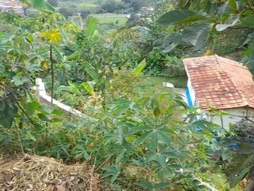 TE VENDO ESTE APARTAMENTO FINCA EN BARBOSA ANTIOQUIA.