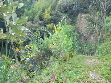 TE VENDO ESTE APARTAMENTO FINCA EN BARBOSA ANTIOQUIA.