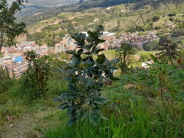 TE VENDO ESTE APARTAMENTO FINCA EN BARBOSA ANTIOQUIA.