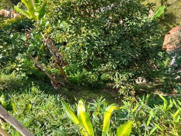 TE VENDO ESTE APARTAMENTO FINCA EN BARBOSA ANTIOQUIA.