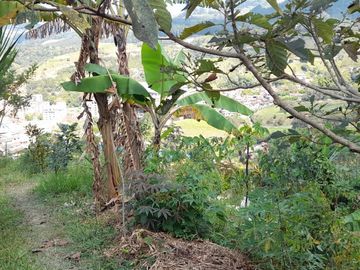 TE VENDO ESTE APARTAMENTO FINCA EN BARBOSA ANTIOQUIA.