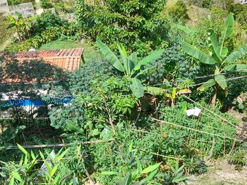 TE VENDO ESTE APARTAMENTO FINCA EN BARBOSA ANTIOQUIA.