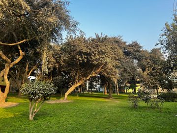 Venta De Terreno En Fundo San Bartolome - Chaclacayo