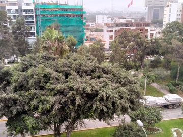 🏙️OCASIÓN!! SE VENDE LINDO DEPARTAMENTO EN AV. SAN BORJA SUR, 3 DORM., A MEDIA CUADRA DEL PENTAGONITO🌳